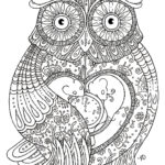 kolorowanka sowa