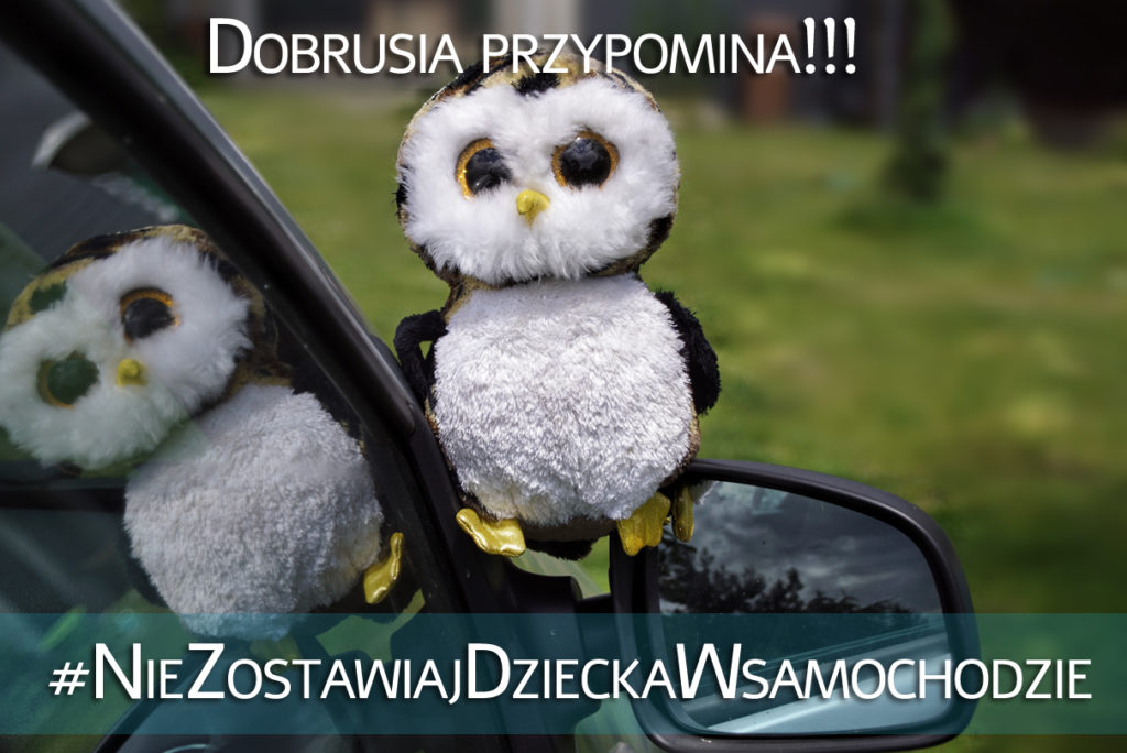 Nie --zostawiaj-dziecka-w-samochodzie